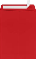 LUXPaper 9 x 12 Open End Envelopes | Peel & Press | Ruby Red | 80lb. Text | 250 by LUXPaper