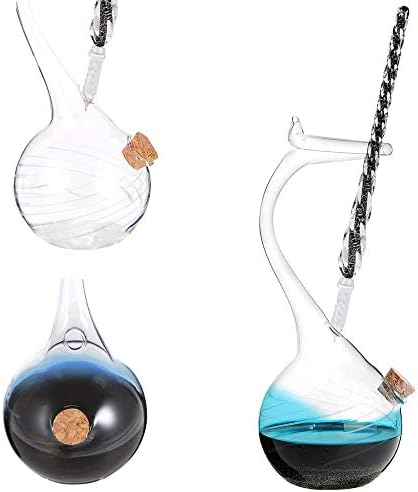 Thyggzjbs Handmade High Borosilicate Glass Glass Dip Pen Ink Set-Crystal Pen with 12 Colorful Inks for Art, Writing, Signatures, Calligraphy, Decoration, Gift