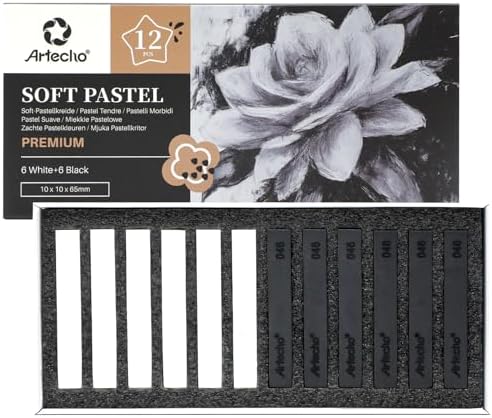 Artecho 12pcs Soft Pastels, 6 White and 6 Black
